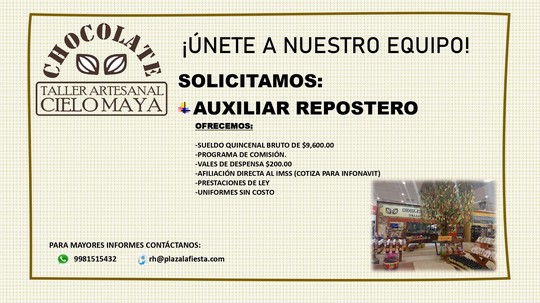 VACANTE AUXILIAR REPOSTERO